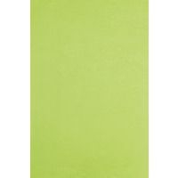 Rame 480 feuilles papier de soie 75x50cm, Vert pomme - Image 2