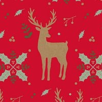 Rouleau kraft 70g, 50x0,70m Rennes rouge - Image 2