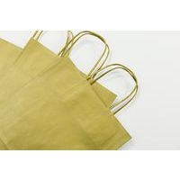 Paquet de 25 sacs kraft lisse 100g, 16x8x21cm, Or - Image 2