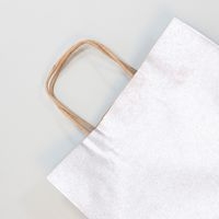 Paquet de 25 sacs kraft lisse 100g, 22x10x27cm, Argent - Image 2