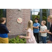 Cible bois et anneaux - Image 2