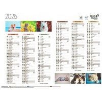 Lot de 10 Calendrier 2025 FANTAISIE 55X40,5 animaux par 10 - Image 2