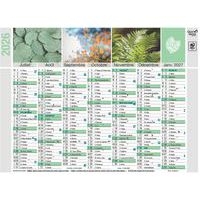 Lot de 10 Calendrier 2025 BANQUE 18X13,5 Equology par 10 - Image 2