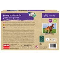 Atelier photos logiques : 'les animaux' - Image 2