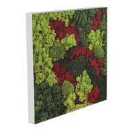 Cadre végétal n 12 Blanc - Image principale