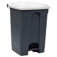 Collecteur Step-On 45L - Manutan Expert - Image principale