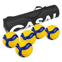 Lot 5 ballons volley - Mikasa - V330W