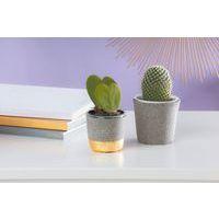 Fimo air light 350g - granit effect thumbnail image 3