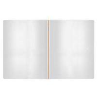 Elastique Phenyx 24x32 orange (lot de 60 pièces) - Image 5