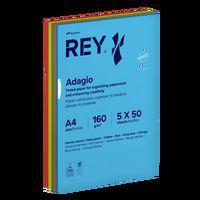 Ramette 250 feuilles A4 160g 5 teintes vives assorties - Image principale