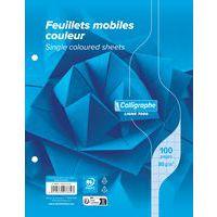 7000, Feuillets mobiles s/film 17x22 bleu 100p séyès 80g - Image principale