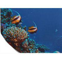 Tapis de jeu - Thème vie sous-marine - Hope Education - Image 4