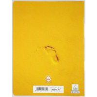 Super écolier 48p 90g seyes 17x22 - Pichon - Image 4