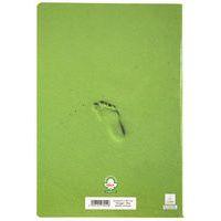 Cahier piqure Super 90g A4 Seyes 96 pages - Vert - Image 4