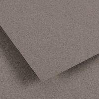 Papier dessin Canson Ingres Vidalon 100g - 50 x 65 - gris chiné - Image principale