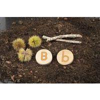 OASIS - JETONS BOIS - LES LETTRES CAPITALES - Image 5