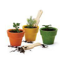 Lot de 3 pots et accessoires du potager - Image principale