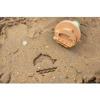 Lot de 3 tampons de sable en bois - Image 5