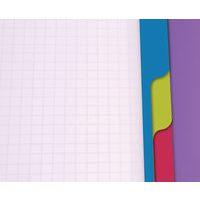 Linicolor Evolutiv'Book 22,5x29,7cm 240p Q.5x5 cadré perfo. 4 trous - Lot de 5 - Image 5
