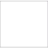 Lot de 30 Étiquette pour pince Proline XL Blanc - Image principale