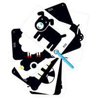 Cartes les contrastes naissance - Image principale