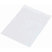 1000 sacs zip neutres épaisseur 60 microns l x H : 250 x 350 mm - Image principale