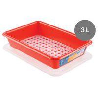 Bac plat HACCP avec couvercle et grille - GILAC, Coloris : Rouge - Image 2