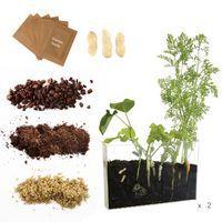 Coffret d'observation des racines - Radis et Capucine