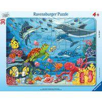 Puzzle cadre 30 pièces au fond de la mer - Ravensburger