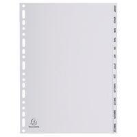 Lot de 10 Intercalaires mensuels pp gris janvier-déc. 12 positions A4 - Image principale