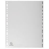 Lot de 10 Intercalaires mensuels gris janv-déc. 12 positions A4 maxi - Image principale