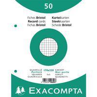 Lot de 24 Paquet 50 fiches sous film quadrillé perforé 170x220mm - Image principale