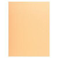 Lot de 5 paquets de 50 chemises 1 rabat super 250 - 24x32cm Bulle - Image principale