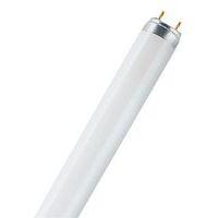 Catégorie Tube et ampoule fluorescent