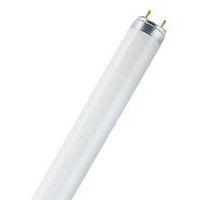 Tube et ampoule fluorescent full image