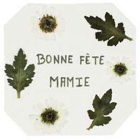 Presse à fleurs et à feuilles thumbnail image 2