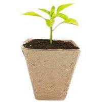 Lot de 20 pots biodégradables 8 x 8 cm - Image 2