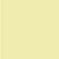 Feuille 240g 50x65 - ivoir - Image principale