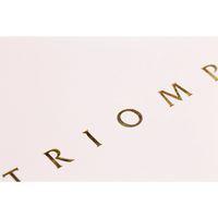 Triomphe GOLD carnet blanc piqûre textile 14,8x21cm 96p ligné papier blanc 90g thumbnail image 2