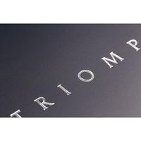 Triomphe PLATINUM carnet bleu profond piqûre textile 14,8x21cm 96p ligné papier ivoire 90g thumbnail image 2
