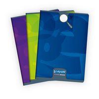 8000 PELLICULE, Cahier piqué 21x29,7 96p Q.5x5 90g - Image 3