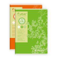 FOREVER, Cahier piqué 21x29,7 96p séyès 70g recyclé thumbnail image 3