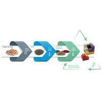 Lot 100 pions bois 4 couleurs - Image 3