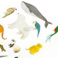 Mimi Stick', Sach 4 pl 10,5x16cm, Animaux en voie de disparition thumbnail image 2