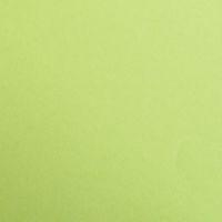 Paquet Maya 50x70cm 25 feuilles 270g vert mousse - Image principale