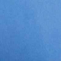 Paquet Maya 50x70 25 feuilles 270g bleu roi - Image principale