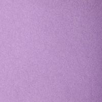 Paquet 24 feuilles Etival Color 160g 50x65 Parme thumbnail image 2