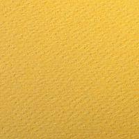 Paquet 24 feuilles Etival Color 160g 50x65 bouton d'or - Image 2