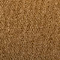 Paquet 24 feuilles Etival Color 160g 50x65 havane thumbnail image 2