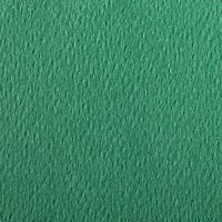 Paquet 24 feuilles Etival Color 160g 50x65 vert foncé thumbnail image 2
